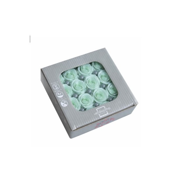 Caja 16 rosas preservadas cabeza d. 2,5cm princesa verde menta