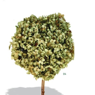 Pomo Hortensia preservada c/tallo hoja pequeña natural