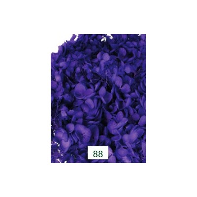 Pomo Hortensia preservada c/tallo hoja pequeña morado