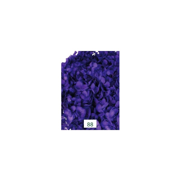 Pomo Hortensia preservada c/tallo hoja pequeña morado