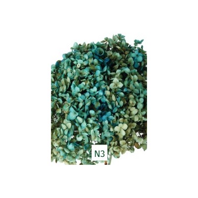 Pomo Hortensia preservada c/tallo hoja pequeña verde/azul