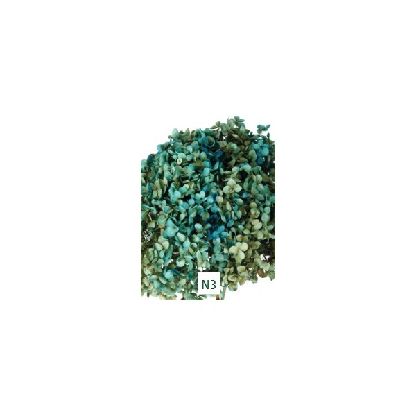 Pomo Hortensia preservada c/tallo hoja pequeña verde/azul