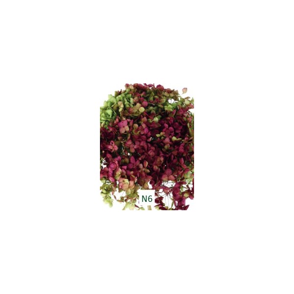 Pomo Hortensia preservada c/tallo hoja pequeña verde/burdeos