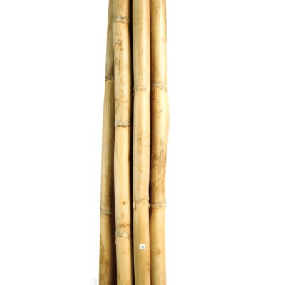 Caña rio 200 cm x Ø 1cm natural 12 pcs 