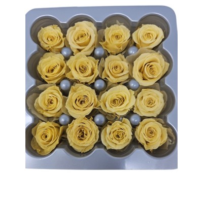 Caja 16 rosas preservadas cabeza d  2 5cm princesa beige