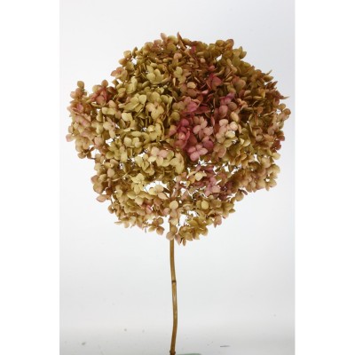Pomo Hortensia preservada c/tallo hoja pequeña camel/rosa
