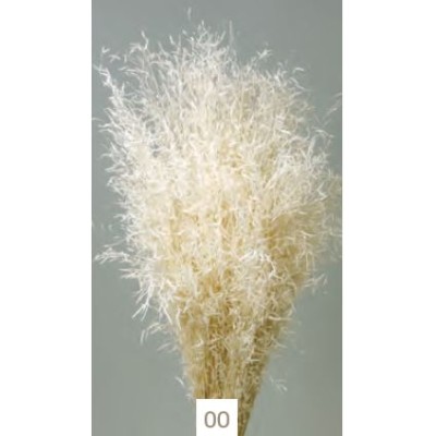 Munni grass seco 75g 60cm blanco