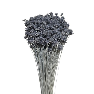 Hill flower seco 45cm 100gr azul japoni