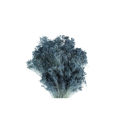 Brooms preservado 100gr 50cm azul japoni