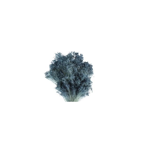 Brooms preservado 100gr 50cm azul japoni