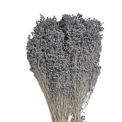 Brooms preservado 100gr 50cm azul japoni