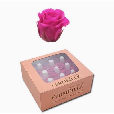 Caja 16 rosas preservadas cabeza d 2 1-2 5cm Alt 2 1-2 5cm rosa fucsia