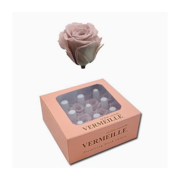 Caja 16 rosas preservadas cabeza d.2,1-2,5cm Alt.2,1-2,5cm maquillaje