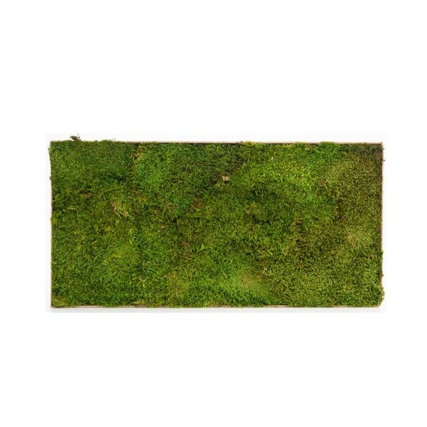 Baldosa preservada 30 x 60cm musgo plano verde