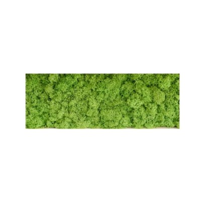 Baldosa preservada 30 x 60cm liquen verde