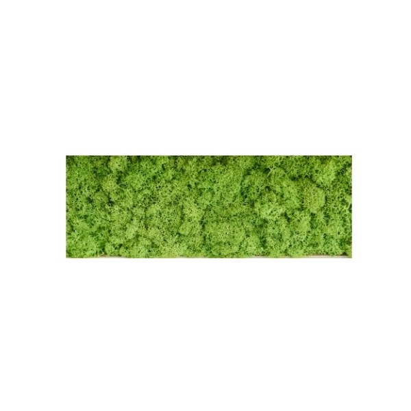 Baldosa preservada 30 x 60cm liquen verde