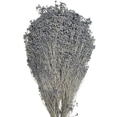 Brooms seco 100gr 50cm azul japoni