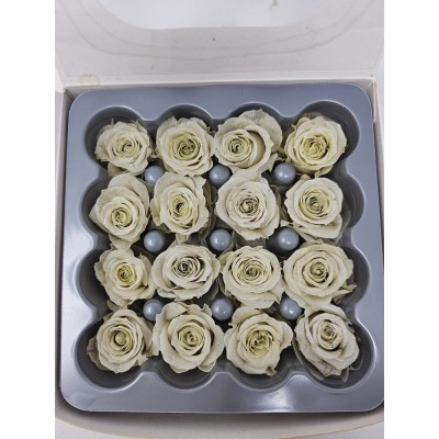 Caja 16 rosas preservadas cabeza d. 2,5cm princesa gris
