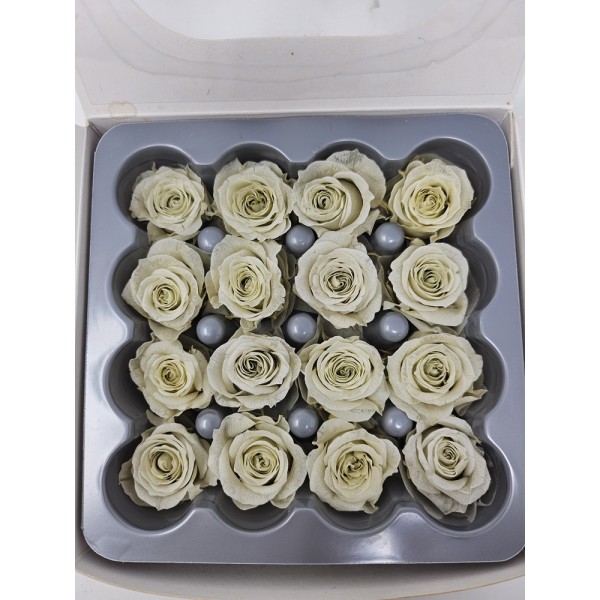 Rosa preservada cabeza d. 2,5cm princesa gris