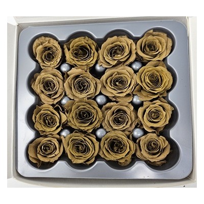 Caja 16 rosas preservadas cabeza d. 2,5cm princesa marrón