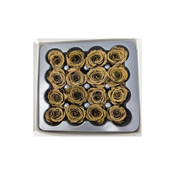 Caja 16 rosas preservadas cabeza d. 2,5cm princesa marrón