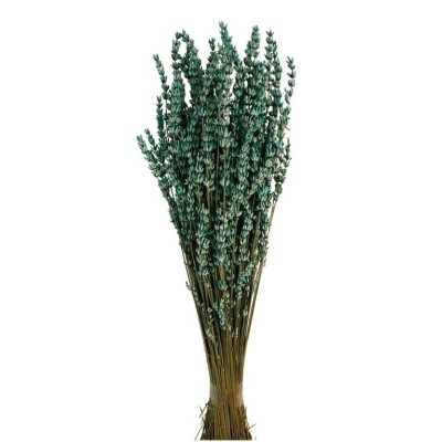 Lavanda preservada 150g 45cm turquesa