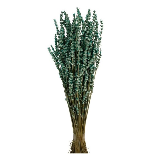 Lavanda preservada 150g 45cm turquesa