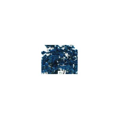 Limonio preservado sinesis 40-50cm azul