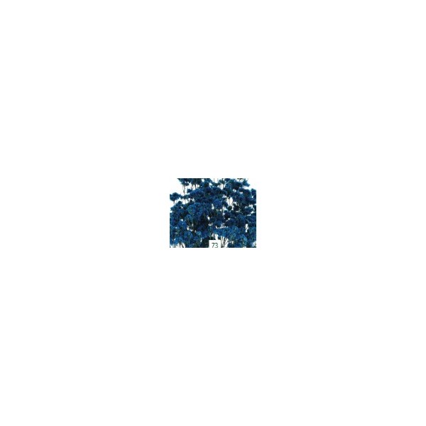 Limonio preservado sinesis 40-50cm azul