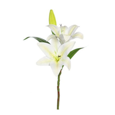 Lilium casablanca x 2 fl   1 c x 35cm blanco