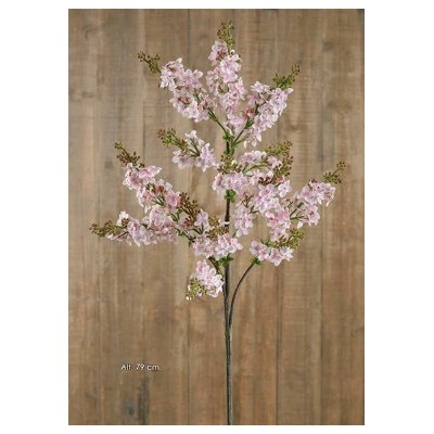 Lilac x 3 Alt 79cm rosa claro