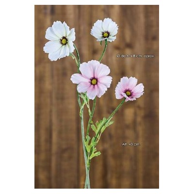 Cosmos x 2 Fl 40cm rosa claro