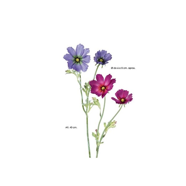 Cosmos x 2 Fl 40cm azul claro