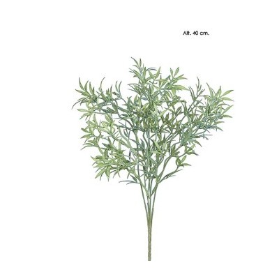 Mata ruscu 40cm verde