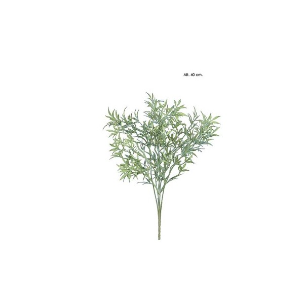 Mata ruscu 40cm verde