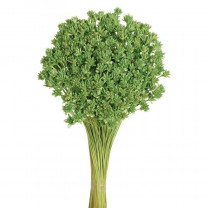 Hill flower seco 45cm 100gr verde pistacho
