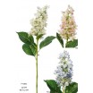 Hortensia cónica x 1 fl set pétalo pq.beige