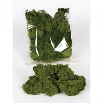Musgo finlandés preservado bolsa   30gr verde