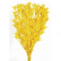 Nigella orientalis seca 100gr 50cm amarilla