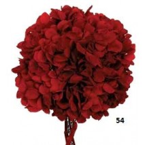 Pomo Hortensia preservada c/tallo  rojo