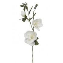 Magnolia rama x 3 fl x 1 cap velvet x 80cm blanca