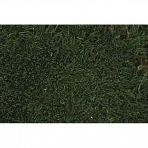Musgo finlandés preservado verde oscuro
