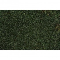 Musgo plano preservado  500 g verde oscuro