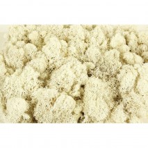 Musgo finlandés preservado bolsa  35 gr blanco