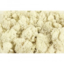 Musgo finlandés preservado bolsa  35 gr blanco
