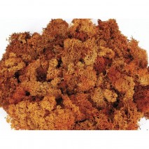 Musgo finlandés preservado bolsa  500gr caldera