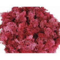 Musgo finlandés preservado bolsa  50gr grosella