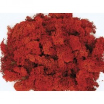 Musgo finlandés preservado bolsa  50gr rojo lavado