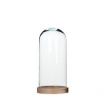 Cúpula o urna cristal con base de madera alt.26 cm d.12,80 cm