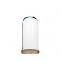 Cúpula o urna cristal con base de madera alt.26cm d.12,80cm